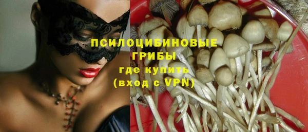 PSILOCYBIN Алексеевка