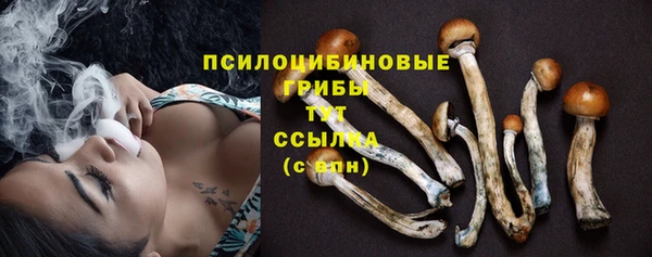 PSILOCYBIN Алексеевка