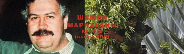 PSILOCYBIN Алексеевка